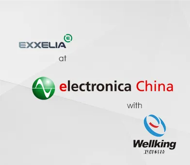 Electronica China 2025 avec notre distributeur Wellking